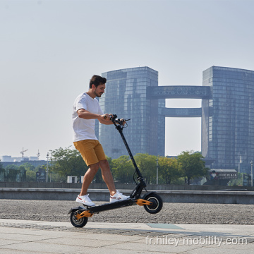 Scooters électriques pliables 3000 watts europe dropshipping